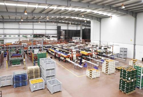 El Ejido acogerá el jueves una jornada sobre el sector alimentario y productivo