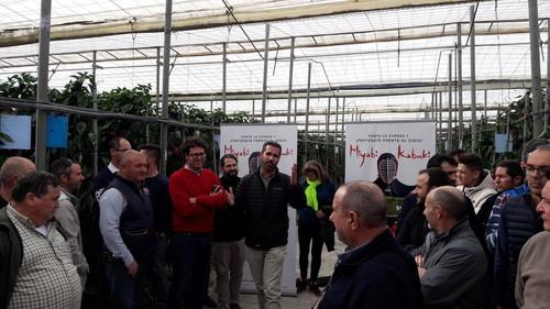 Las Jornadas de Pimiento de Syngenta en Almería destacan el éxito de sus California rojo Miyabi y Kabuki, resistentes a oídio, y el nuevo California amarillo Nagai