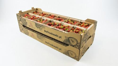 Smurfit Kappa incrementa las ventas de un cliente en un 50% gracias a un innovador embalaje para frutas