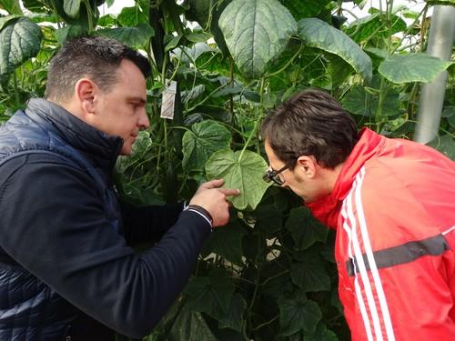 Montyline ofrece un control de trips robusto y fiable durante toda la campaña