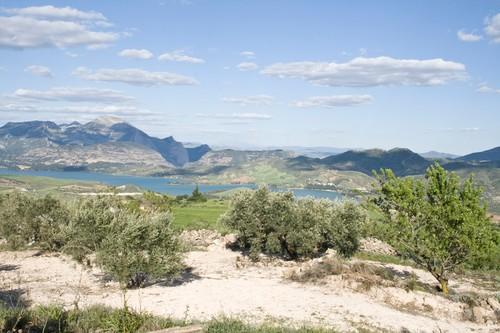 ASAJA pide que la futura declaración de sequía en la Cuenca Mediterránea andaluza no penalice a los regantes