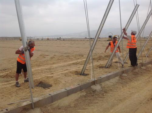 Agricultura amplía al 21 de marzo el plazo para solicitar ayudas a la modernización de invernaderos