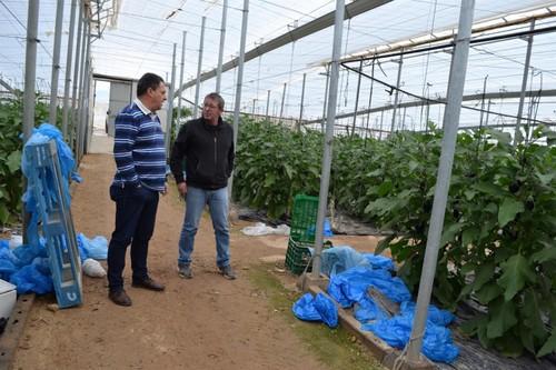 COAG elabora un acuerdo de polinización entre productores para evitar robos y ofrecer garantías a ambos