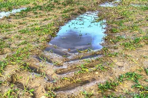 'Compartir el agua', lema del 8º Foro Mundial del Agua donde la Región de Murcia expondrá su gestión de la escasez hídrica