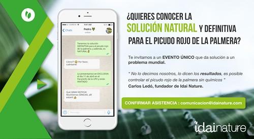 Carlos Ledó: “Tenemos la solución definitiva para el picudo rojo de la palmera y, además, es natural”
