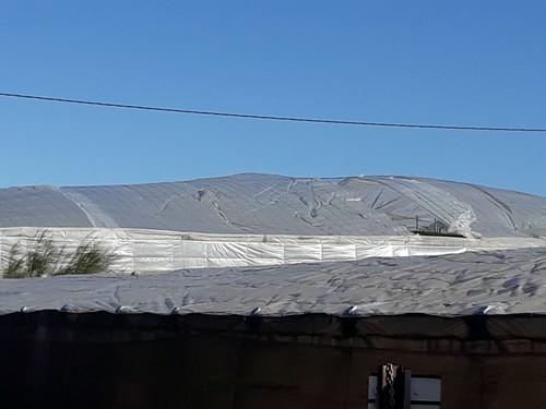 El viento daña cubiertas de explotaciones agrícolas en la provincia de Almería