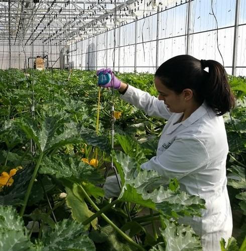 Tecnova obtiene la acreditación para realizar ensayos EOR de productos fitosanitarios
