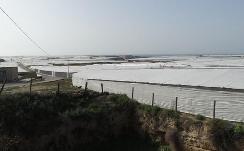 COAG considera que el Gobierno ha publicado una rebaja fiscal arbitraria que no atiende al sector agrario almeriense