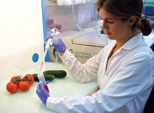 Murcia y Andalucía colaborarán en formación, innovación y desarrollo tecnológico en materia agraria, alimentaria y pesquera