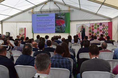 Syngenta presenta una innovadora tecnología frente a las principales plagas de insectos que afectan a cultivos hortícolas