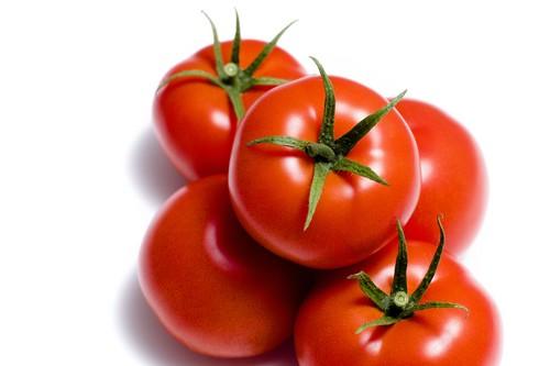 Takii Seed invita a los agricultores a conocer sus nuevas variedades en su stand de la feria nijareña
