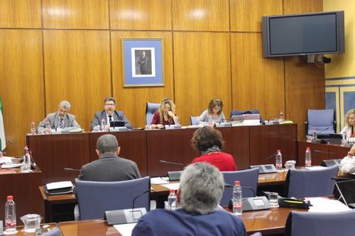 El impulso de Andalucía al relevo generacional es el más importante de España