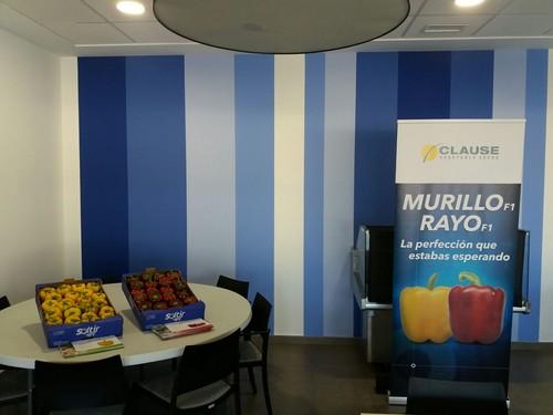 HM Clause promociona sus pimientos California Murillo y Rayo en el campo de Cartagena