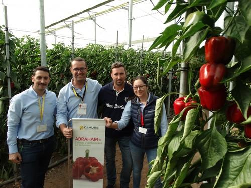 HM Clause incorporará dos California amarillos a su catálogo de pimiento temprano