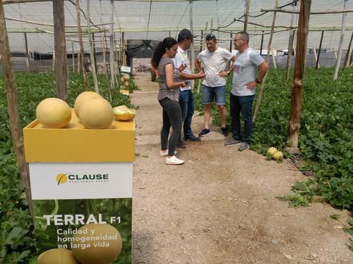 La calidad y homogeneidad en larga vida llegan con HM Clause gracias a su melón galia Terral