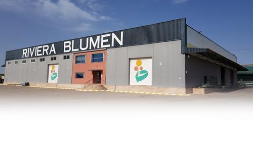 Grafeno 4D7K: El cúlmen de 20 años dedicados a la innovación