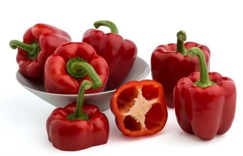 Pinzón, el California rojo de Filosem que destaca por su rápida entrada en producción y gran aguante en planta