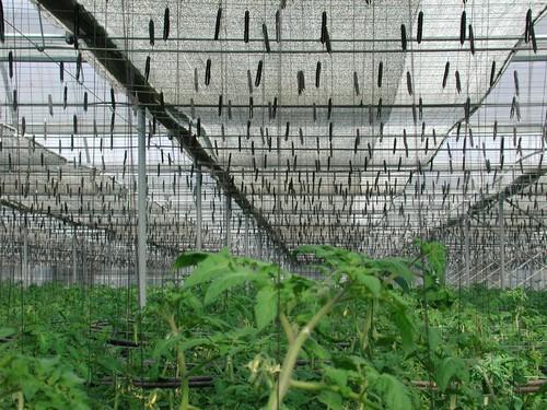 La Junta refuerza con un nuevo incremento de dos millones su apuesta por la bonificación de pólizas de seguros agrarios