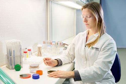 Trianum de Koppert, la opción más eficaz para comenzar la campaña con un cultivo fuerte y un suelo sano