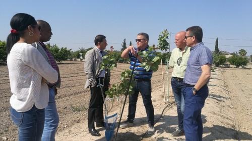 Murcia y el Consulado de Ecuador acuerdan llevar a cabo iniciativas de formación y de cooperación técnica