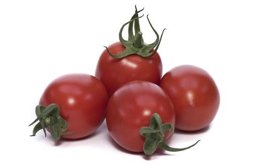 Yuksel Tohum presenta su catálogo de tomates para ciclos largos y ciclos de otoño y primavera