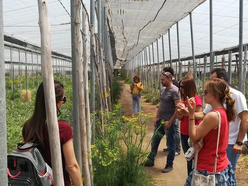 La Junta forma en producción ecológica a jóvenes agricultores beneficiarios de ayudas para la creación de empresas