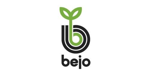 Judía Verde de Bejo, culminando expectativas