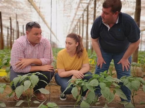 Idai Nature ofrece soluciones naturales para  el óptimo control de plagas con fauna auxiliar