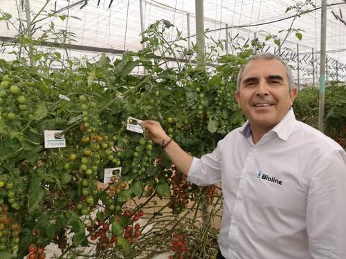 “En Bioline continuamos innovando para ofrecer las formulaciones más avanzadas en hortícolas protegidos”