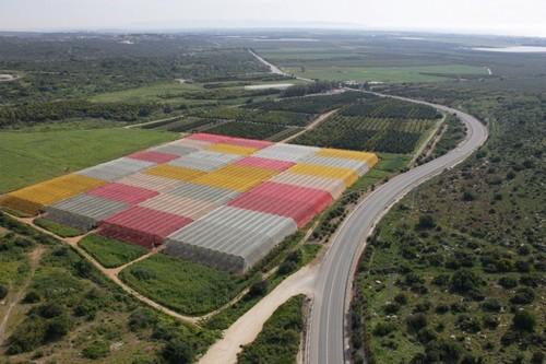 La UPCT y el IMIDA participan en la organización de un simposio internacional sobre mallas y cultivos protegidos