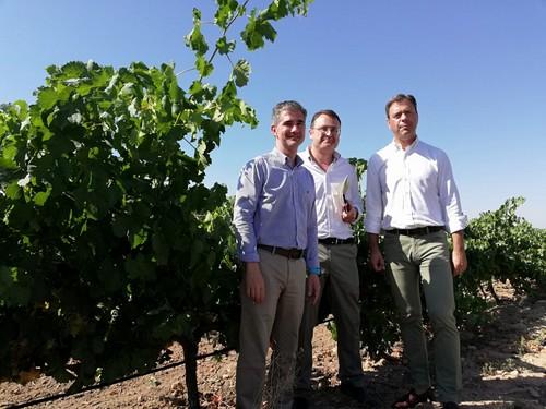 Ya están pagadas el cien por cien de las ayudas directas de la Política Agraria Común para agricultura