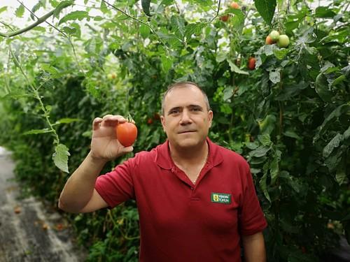 Yuksel Tohum refuerza su presencia en Almería con la apertura de un centro I+D
