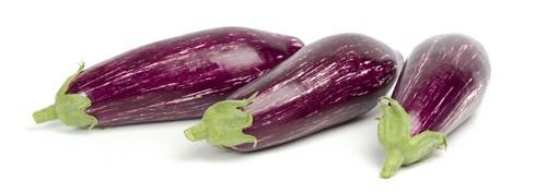 Araceli RZ, la berenjena rayada sin espinas que destaca por sus frutos de color morado intenso y un porte de mata sostenido