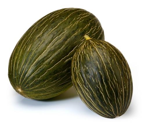 Rijk Zwaan suma Dolsura RZ a su amplio portfolio de variedades de melón piel de sapo para exportación