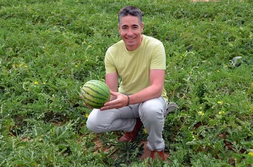 Hazera demuestra la gran poscosecha de sus novedades en melón y sandía en Murcia