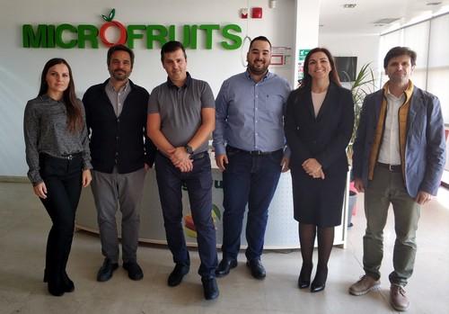 Empresas hortofrutícolas de Almería buscan abrirse mercado en Hungría y Rumanía de la mano de Extenda