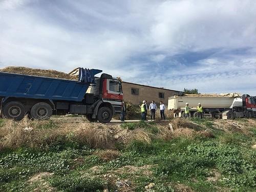 Investigadores de la UPCT identifican 13 especies vegetales para descontaminar el cauce del Guadalentín