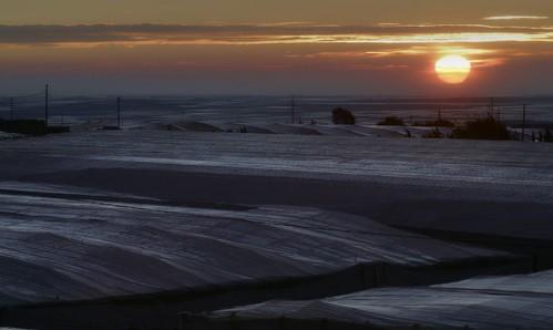 Almería concentra el 87,4% de los invernaderos de Andalucía Oriental