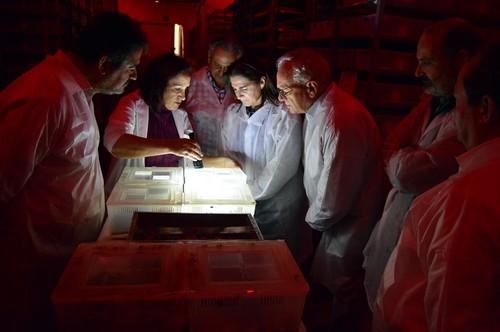 Agrobío, empresa ganadora del  Premio Economía 2018