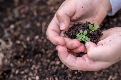 LIDA Plant Research apuesta por la innovación verde