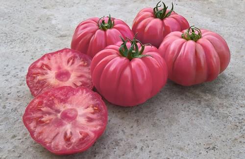La casa de semillas Eugen Seed propone un retorno al sabor con las variedades de tomate PINKY STAR y BELLAMORE
