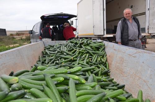 La directora general de Producciones y Mercados Agrarios aborda hoy con el sector la situación del mercado de pepino