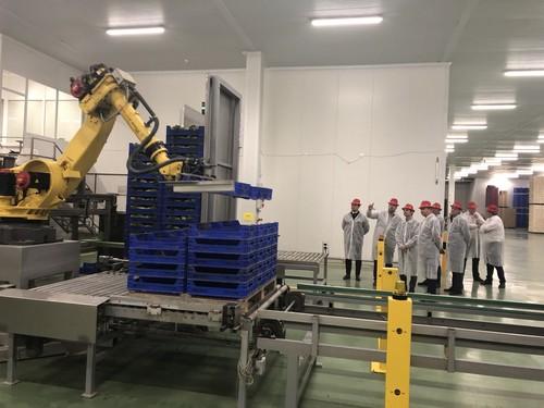 Agricultura reconoce una nueva organización de productores hortofrutícolas en San Javier