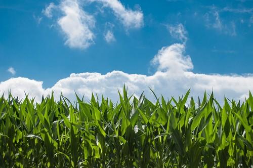 UPL completa la adquisición de Arysta LifeScience y lanza su nuevo objetivo: Open Agriculture