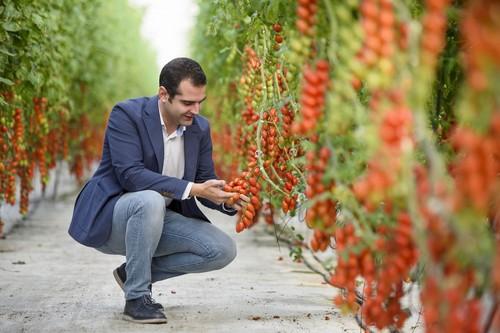 Almería 2019, Capital Española de la Gastronomía, arropa a las frutas y hortalizas almerienses en Fruit Logística