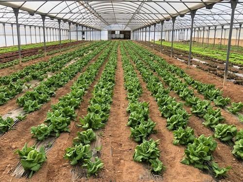 Idai Nature, certificada como empresa EOR por el Ministerio de Agricultura