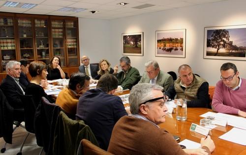 La Consejería de Agricultura diseñará junto al sector un plan global para lograr una mayor estabilidad de los cítricos