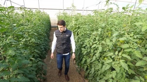 Tomate Lover garantiza al consumidor una experiencia sensorial única