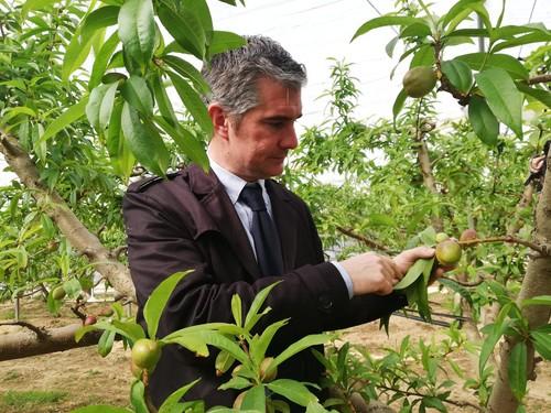 La Región de Murcia cuenta con la mayor superficie ecológica cultivada de la Unión Europea en proporción a su territorio