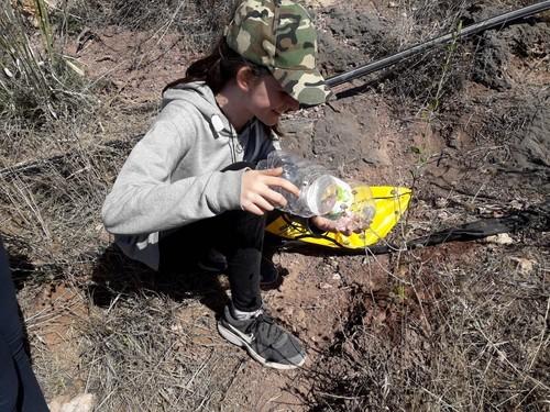 Vicasol colabora en la reforestación de la Sierra de Gádor para retener más agua en los acuíferos y evitar catástrofes